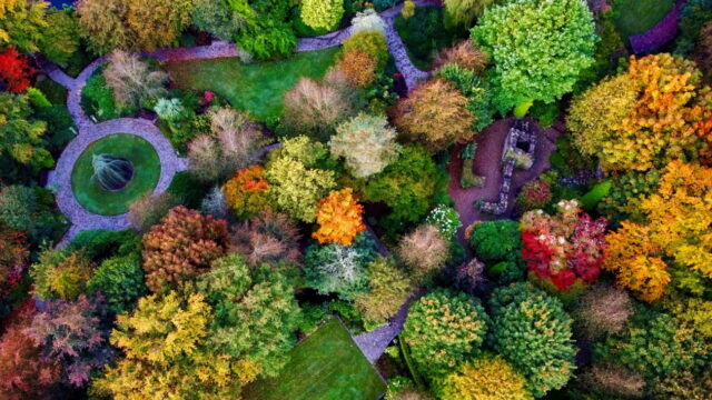 Laura Garden Image Aerial Oct 2021