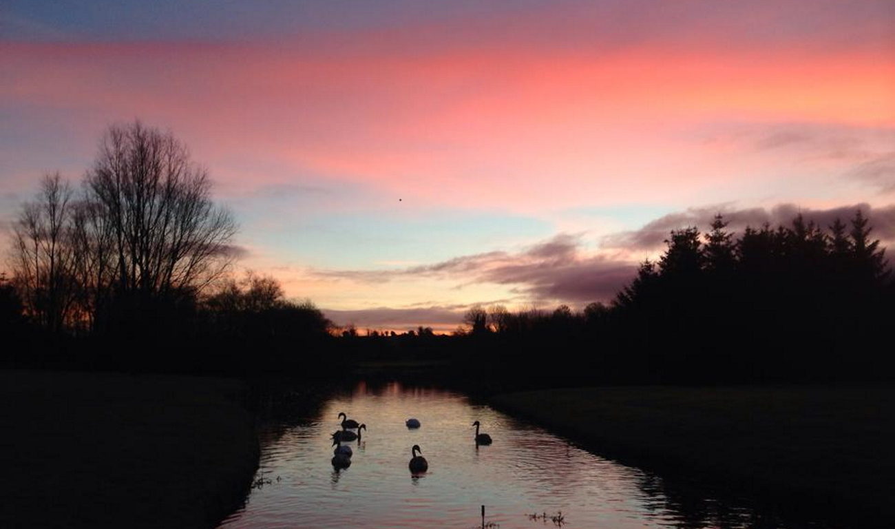 Sunrise SR Laura Brown