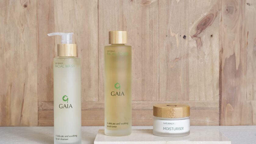Gaia 3